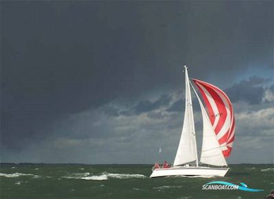 Westerly Typhoon 37 Segelbåt 1990, med Volvo Penta motor, Holland