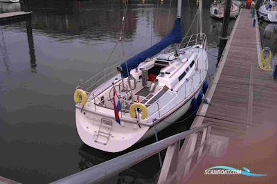 Westerly Typhoon 37 Segelbåt 1990, med Volvo Penta motor, Holland