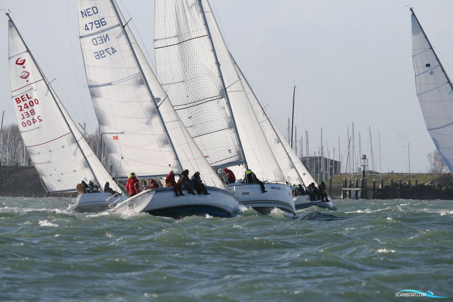 Westerly Typhoon 37