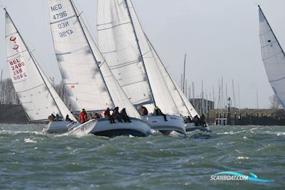 Westerly Typhoon 37 Segelbåt 1990, med Volvo Penta motor, Holland