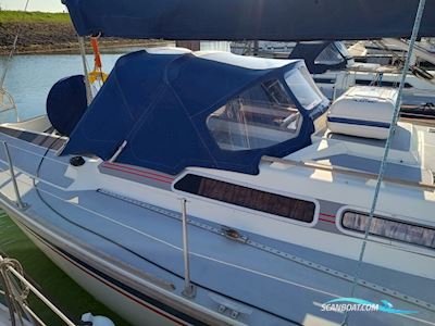 Westerly Typhoon 37 Segelbåt 1990, med Volvo Penta motor, Holland