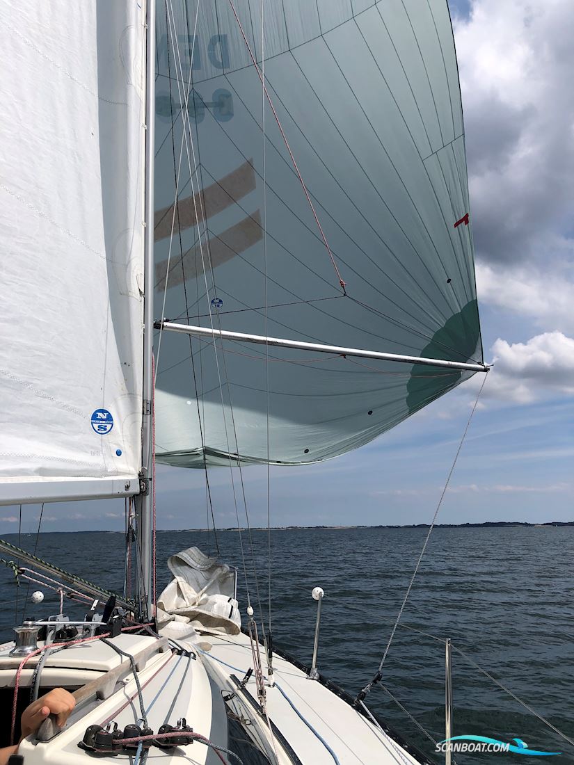 X-79 X-Yachts