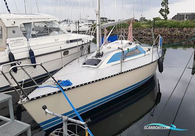 X79 Segelbåt 1984, med Johnson 5Hk motor, Danmark