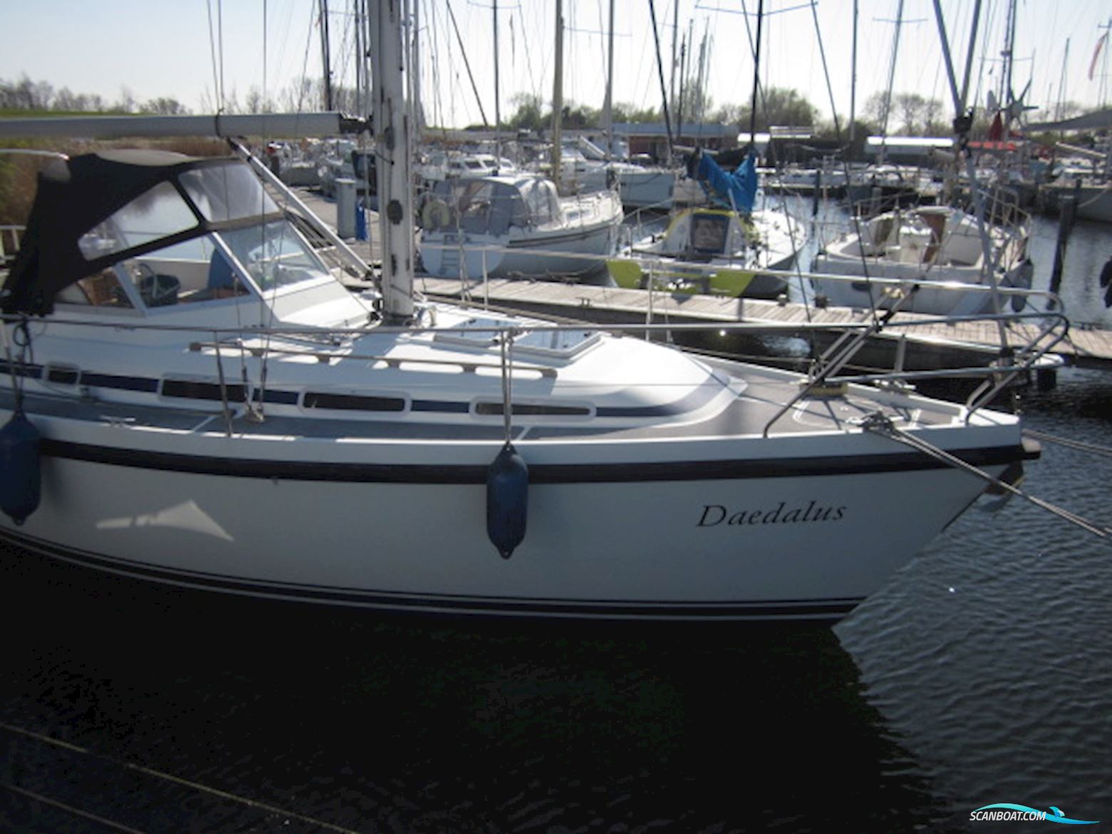 Zaadnoordijk Compromis 34