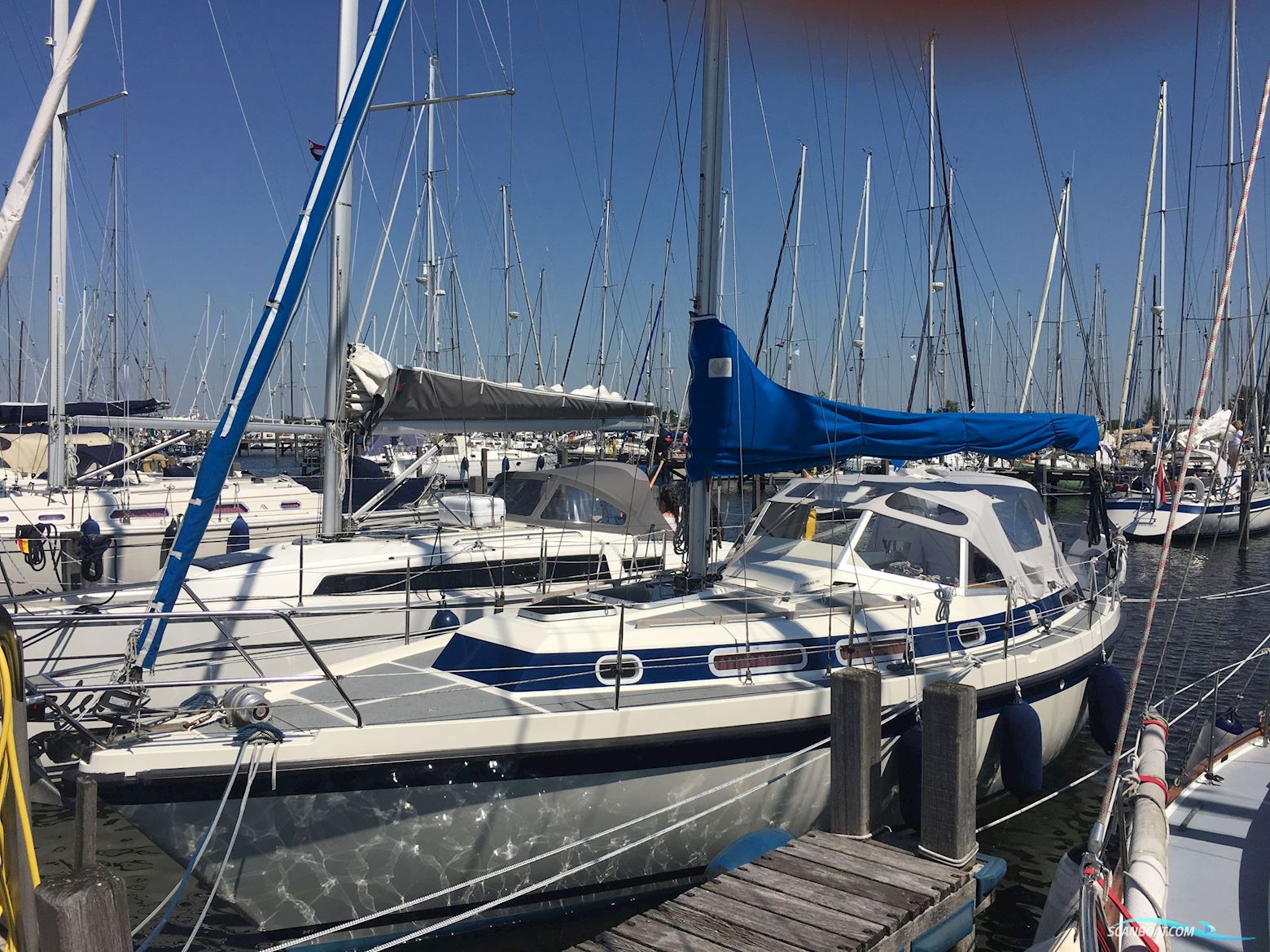 Zaadnoordijk Compromis 999