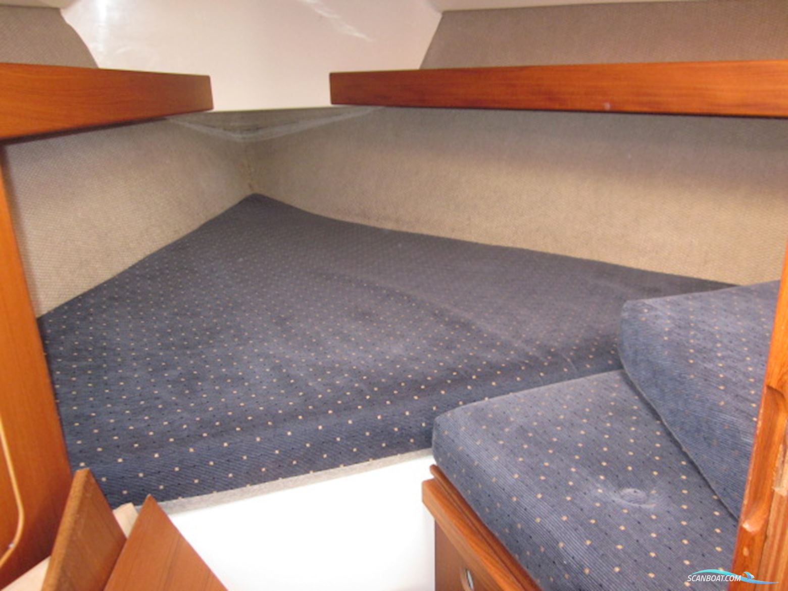 Zaadnoordijk Compromis 999