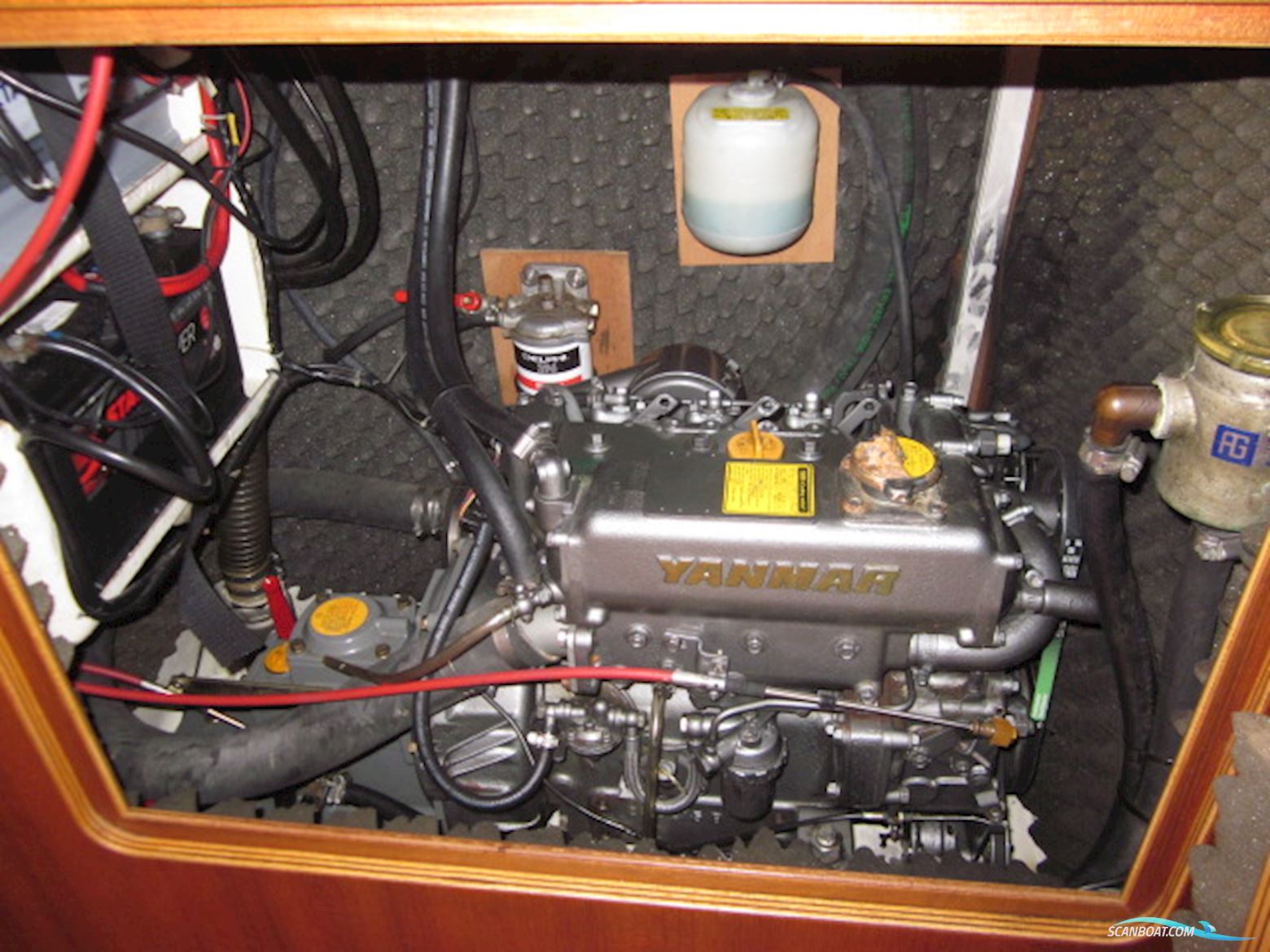 Zaadnoordijk Compromis 999