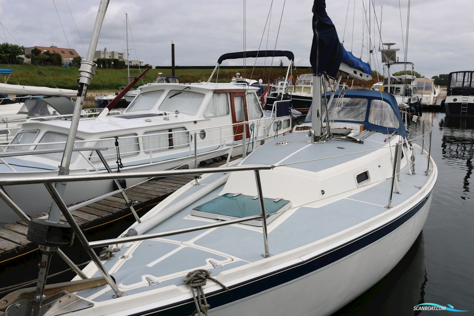 Zeilboot Cal 31