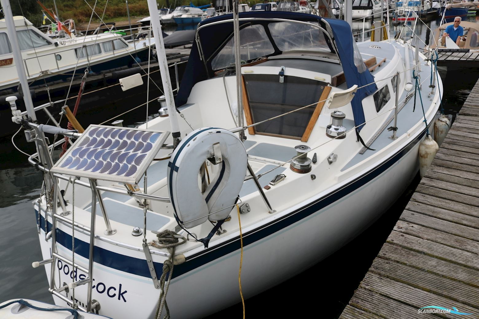 Zeilboot Cal 31