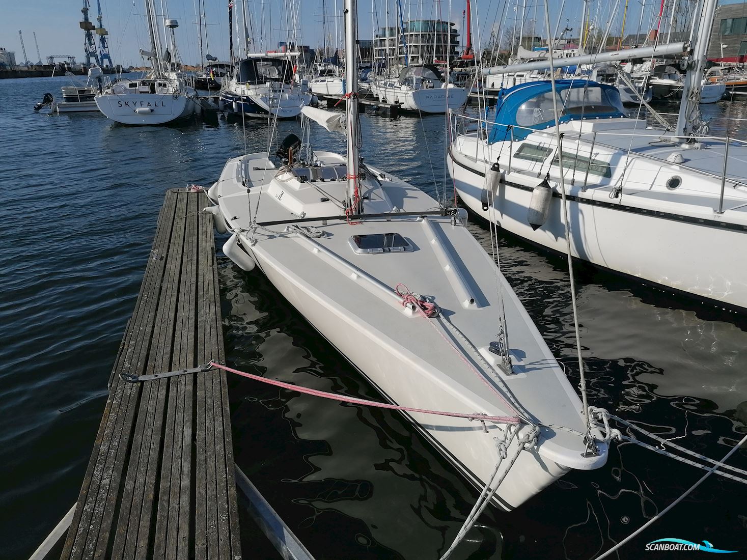 11 metre one design