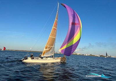 11 metre one design Segelboot 1994, mit Mercury F8 ELH motor, Deutschland