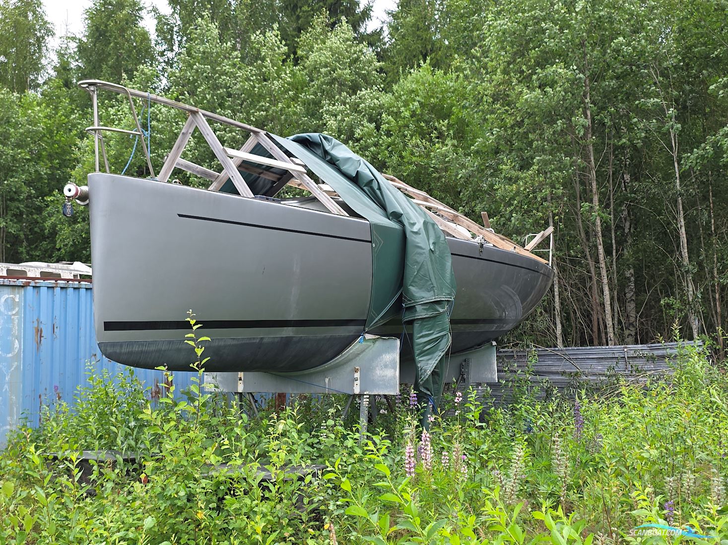 Aerodyne 38 Nordic