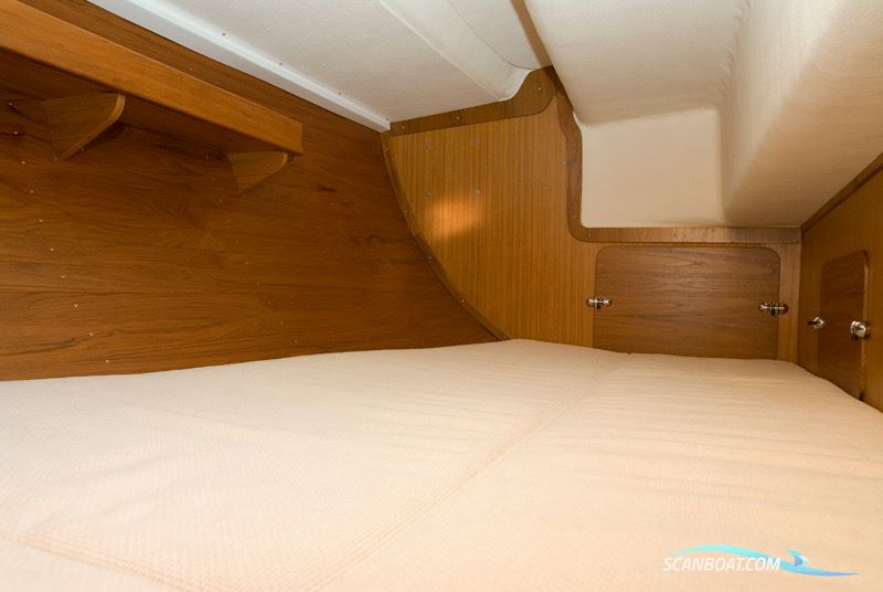Aerodyne 38 Nordic