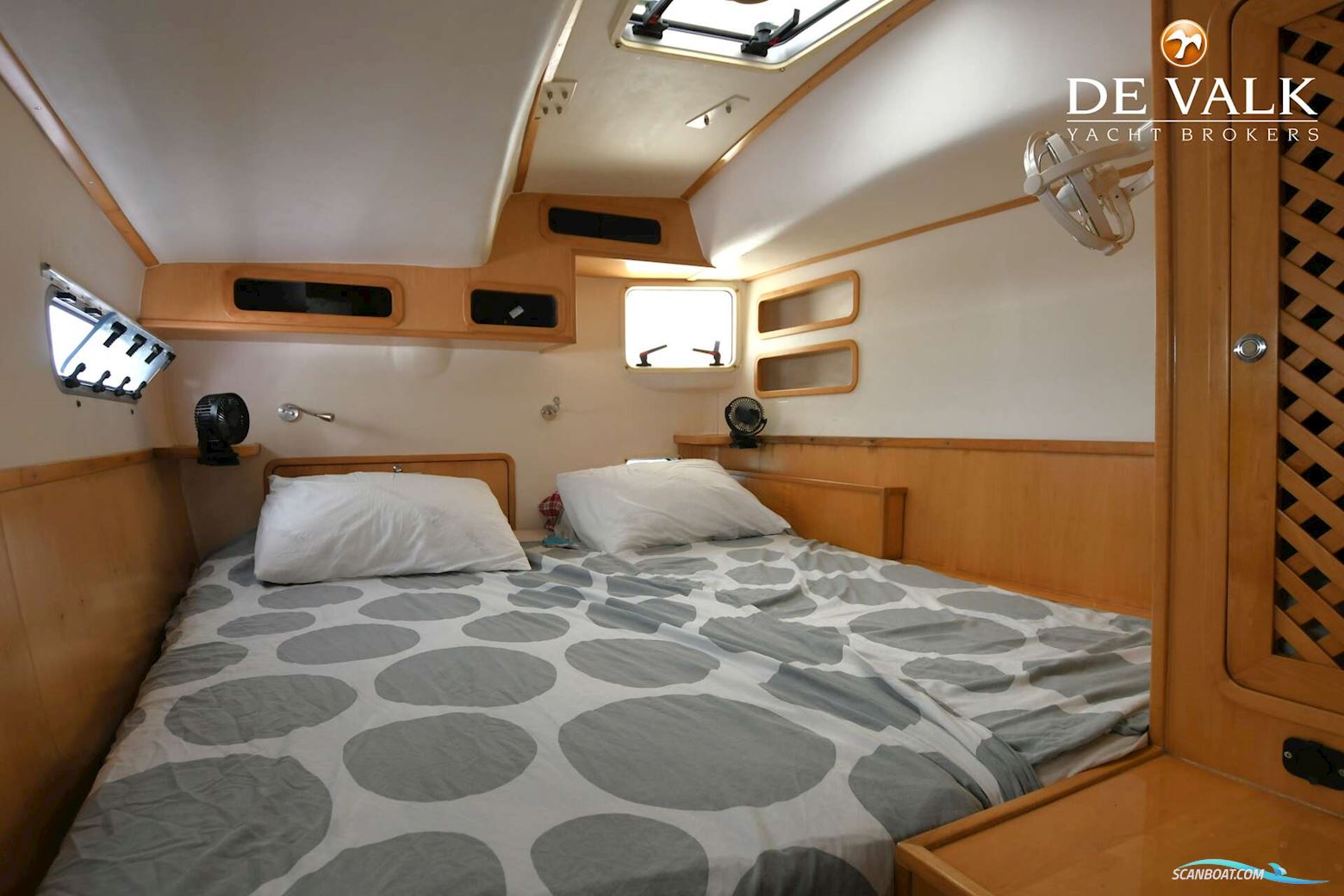 African Cats Greencat 445