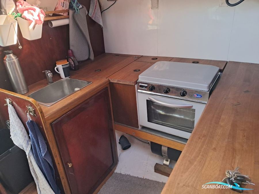 Albatros 33-Bud Modtages