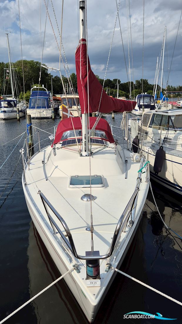 Albin Alpha 29
