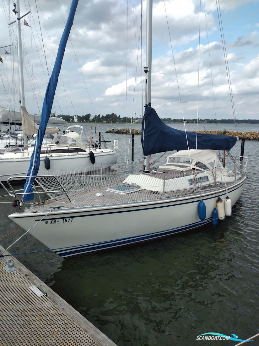 Albin Alpha 29 Segelboot 1986, mit Yanmar 1GM10 motor, Deutschland