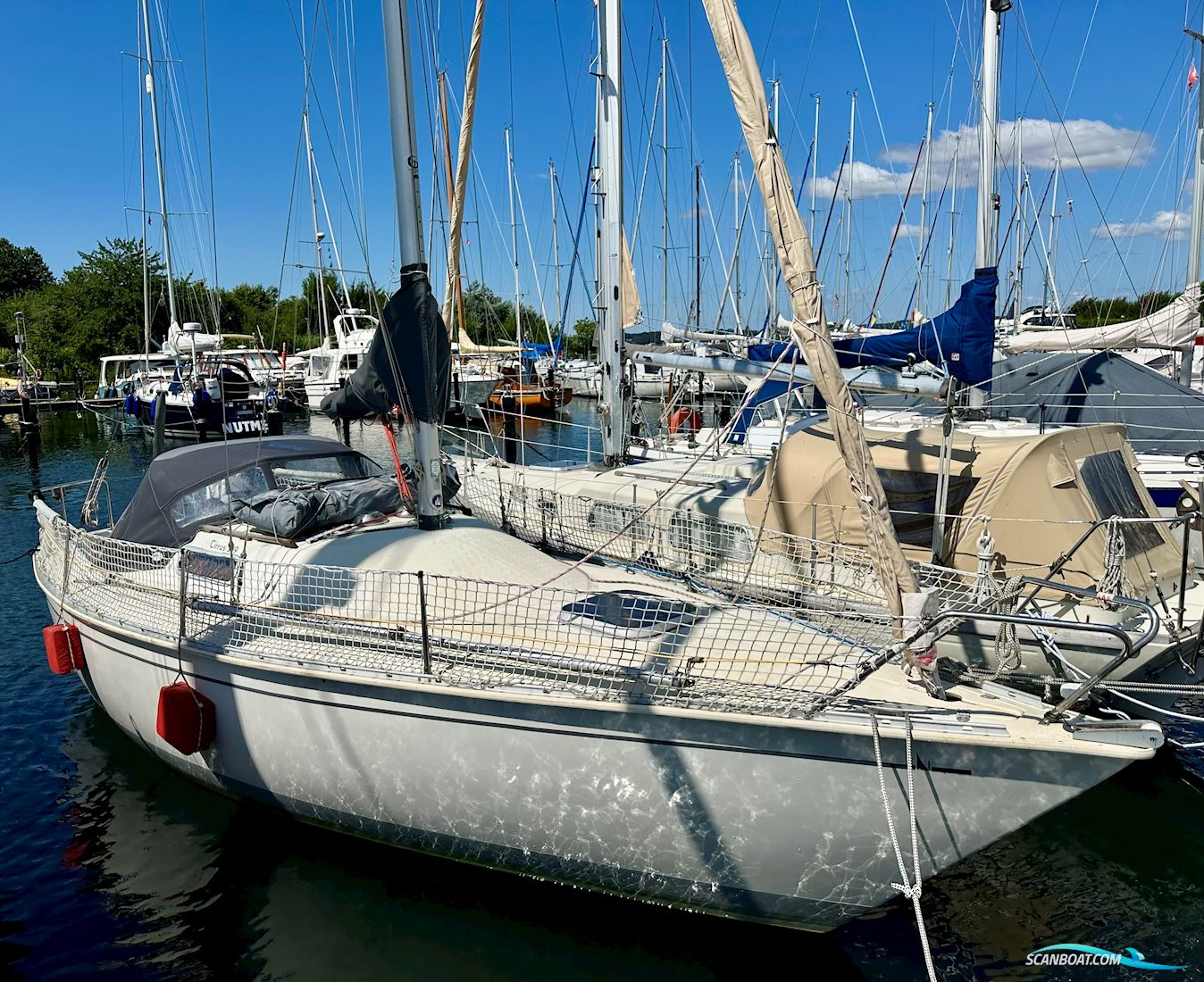 Albin Cirrus
