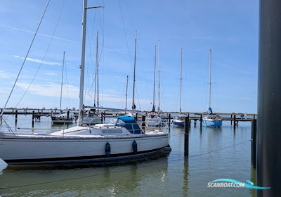 Albin Cumulus 85 Segelboot 1980, mit Yanmar motor, Niederlande
