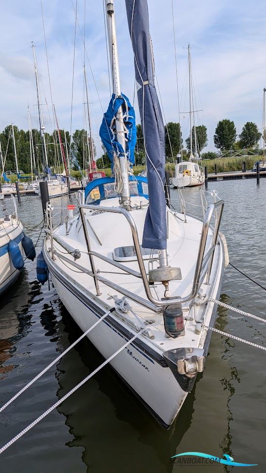Albin Cumulus 85