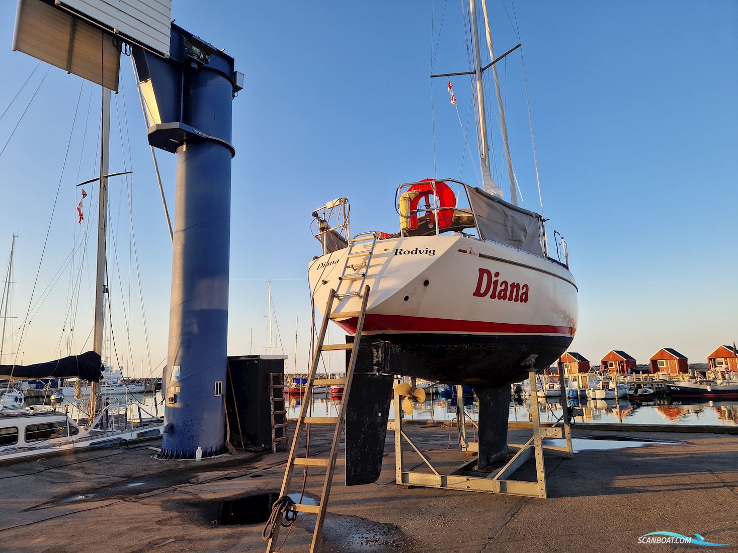 Albin Delta