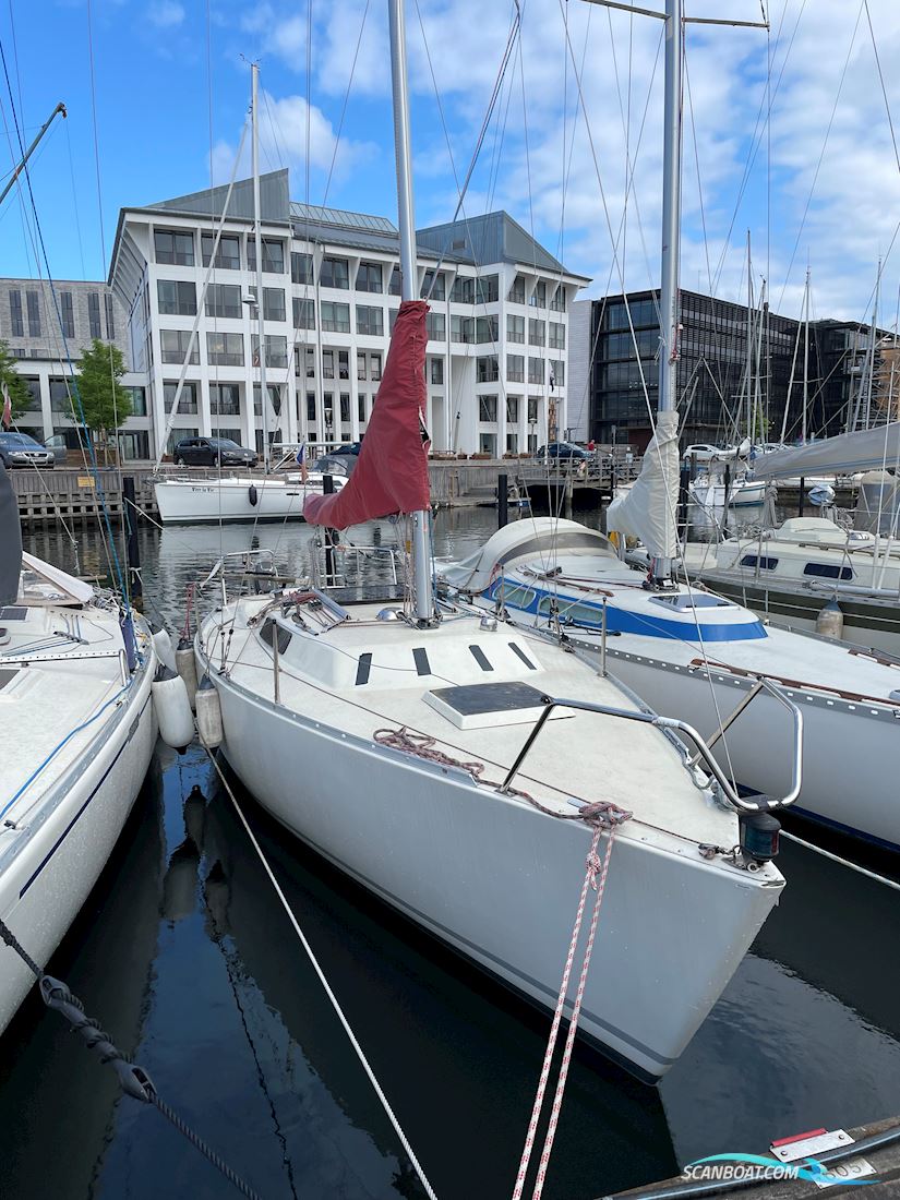 Albin Express Segelboot 1980, mit Suzuki motor, Dänemark