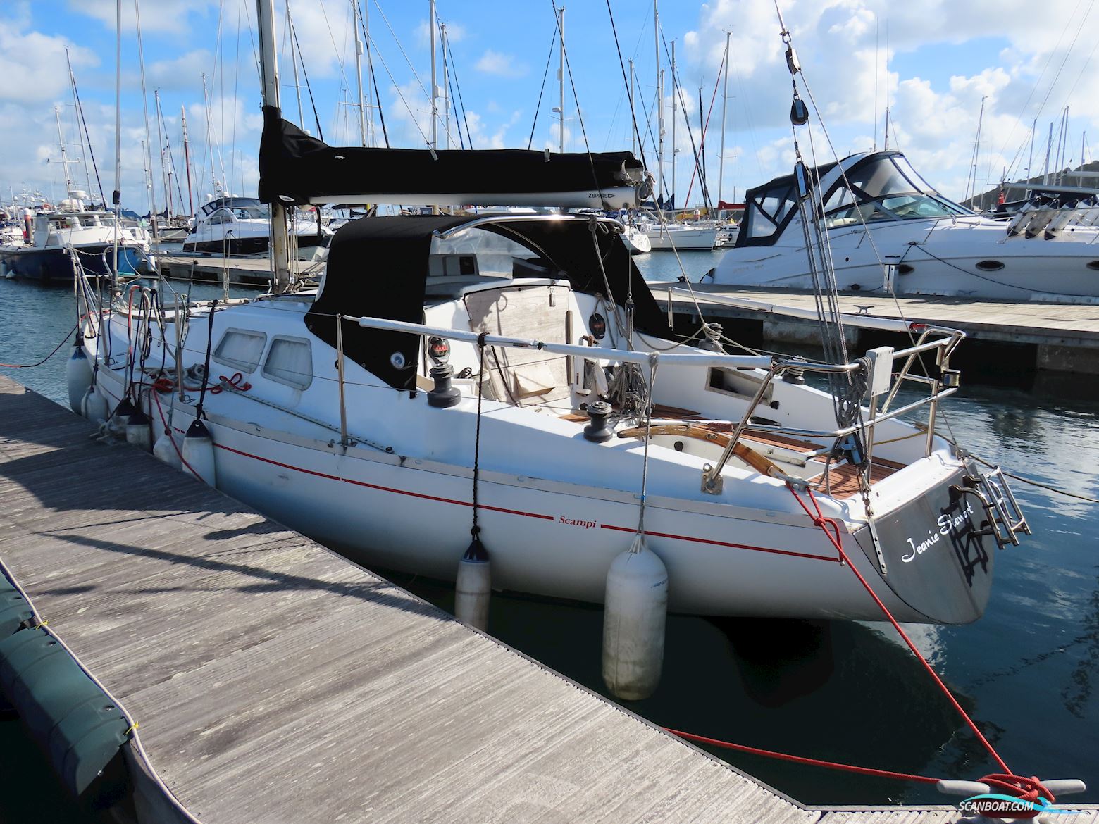 Albin Scampi 30