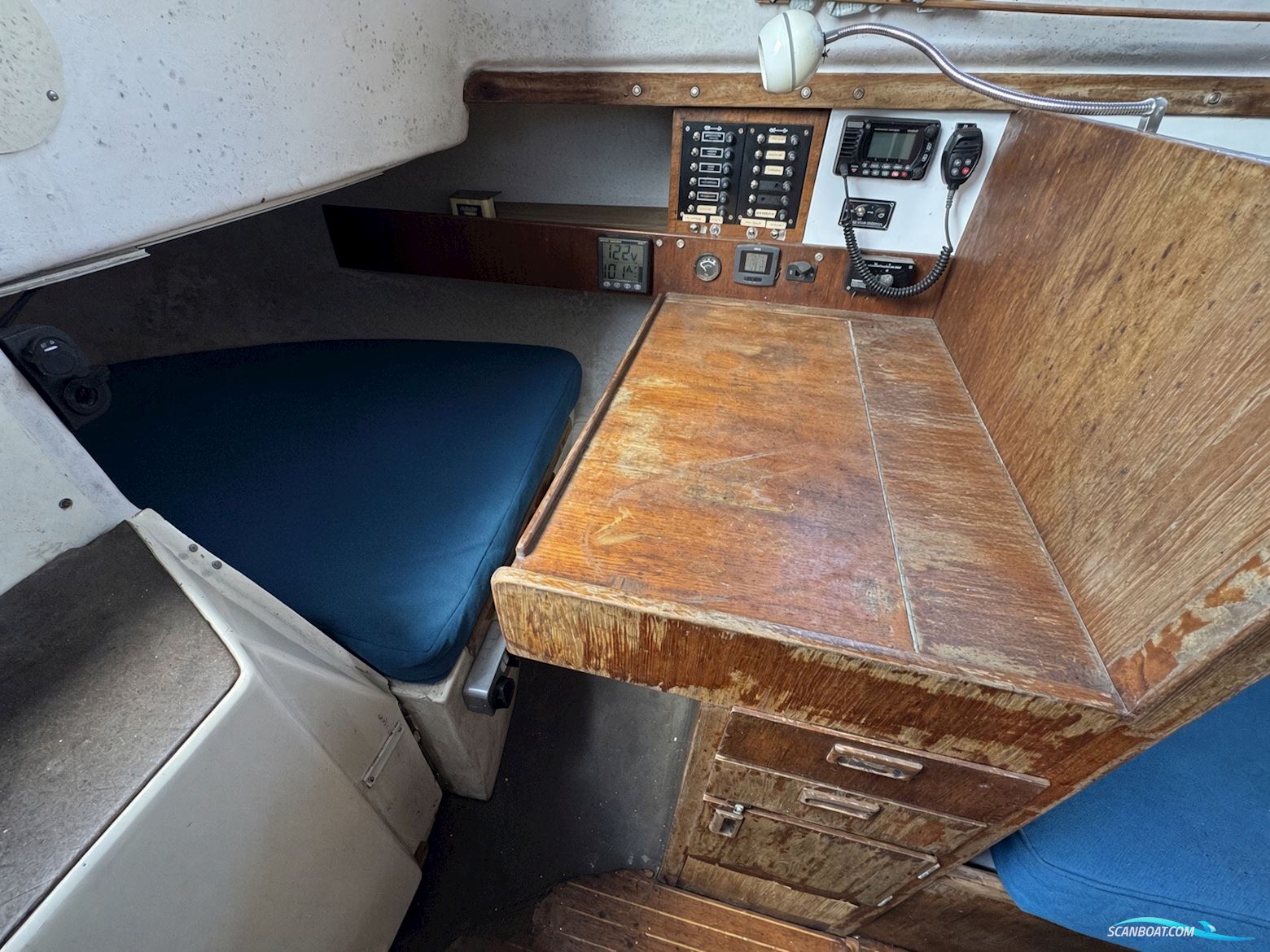 Albin Scampi 30