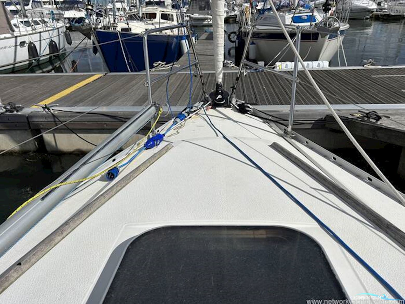 Albin Scampi MK IIII