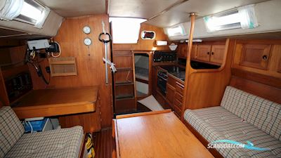 Albin Stratus 35 Segelboot 1980, mit Vetus motor, Dänemark