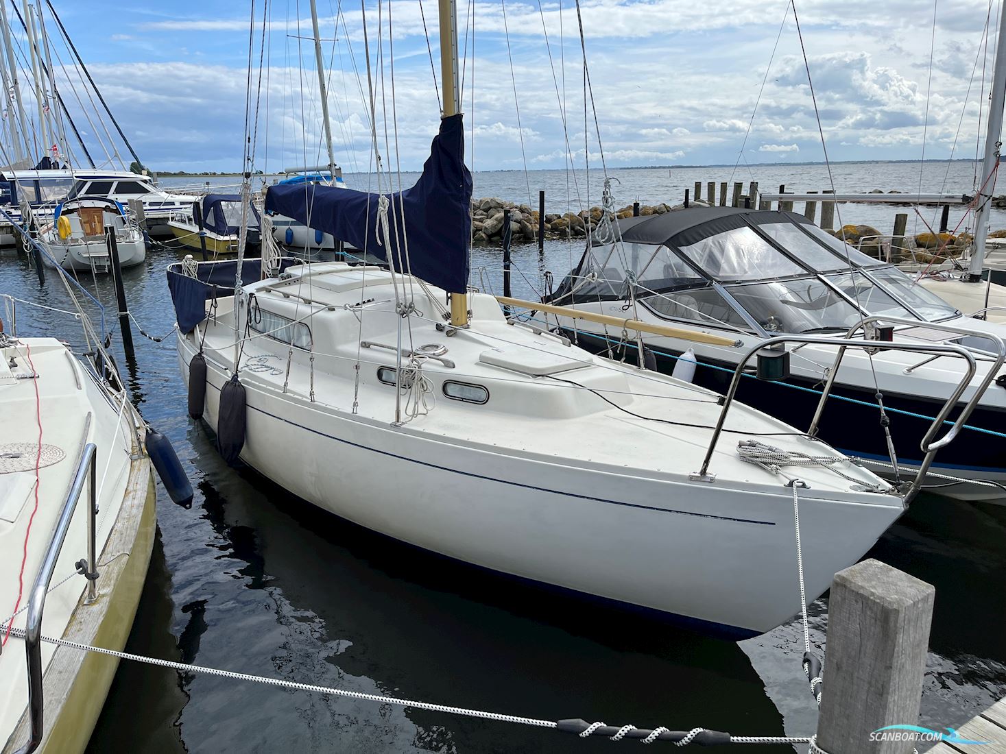 Albin Vega Segelboot 1974, mit Yanmar motor, Dänemark