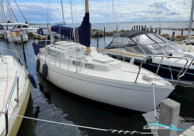 Albin Vega Segelboot 1974, mit Yanmar motor, Dänemark