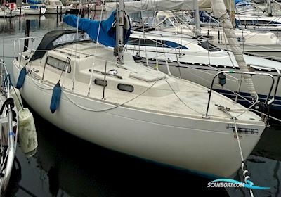 Albin Vega Segelboot 1975, mit Sole Diesel Mini motor, Dänemark