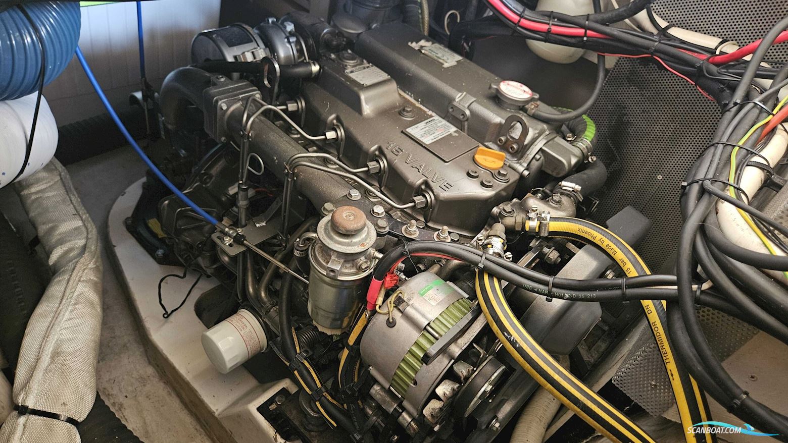 Alliaura Marine Feeling 48