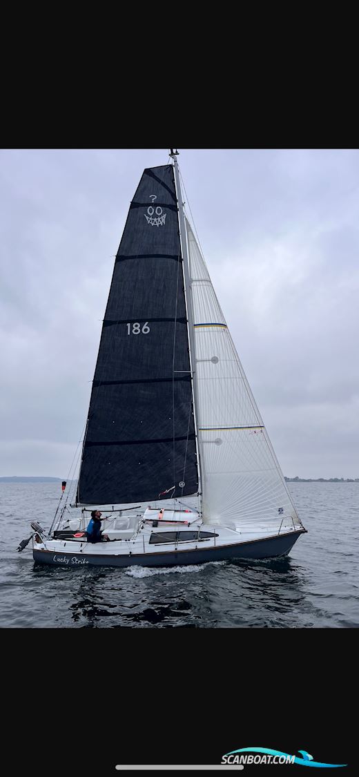 Archambault Surprise