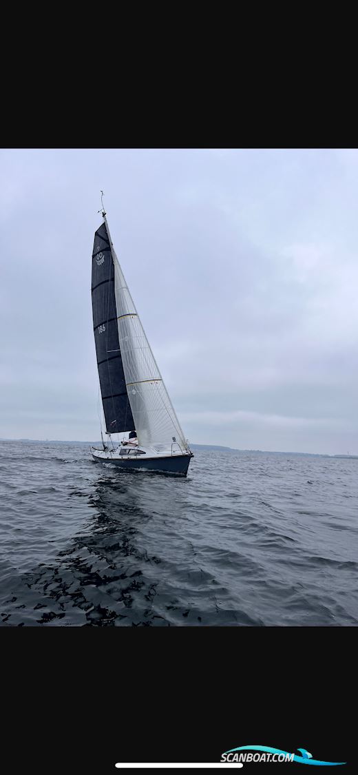 Archambault Surprise