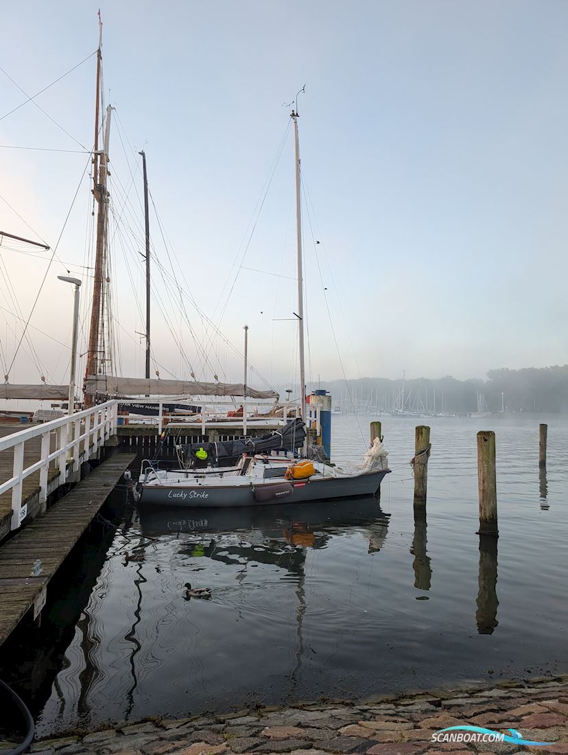 Archambault Surprise