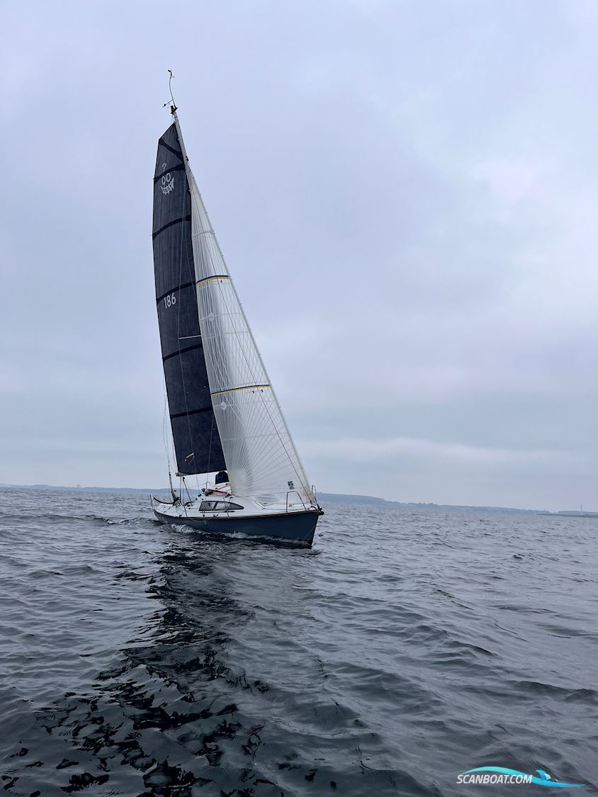 Archambault Surprise