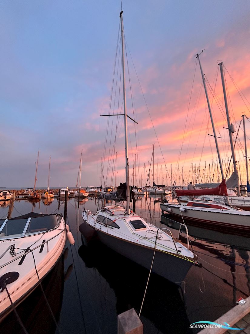 Archambault Surprise