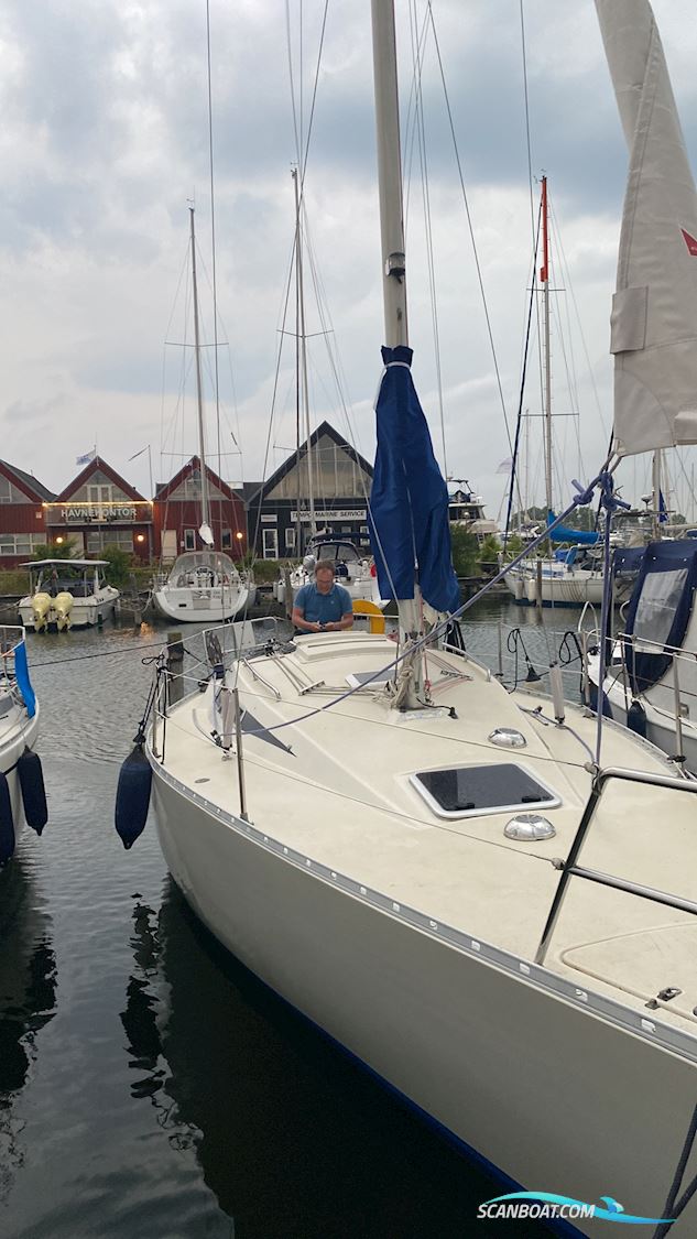 Arcona 32 Segelboot 1983, mit Volvo Penta MD7B motor, Dänemark