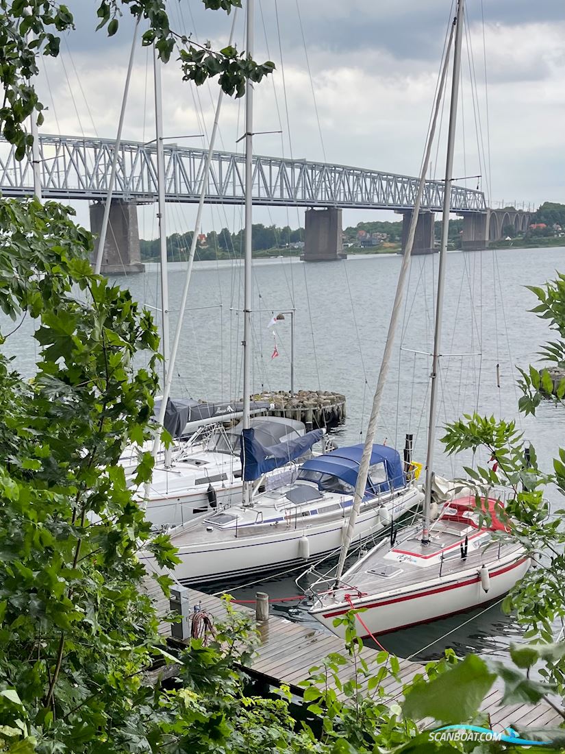 Arcona 355