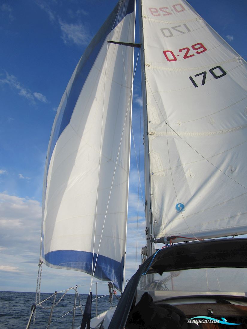 Artekno Ohlson 29