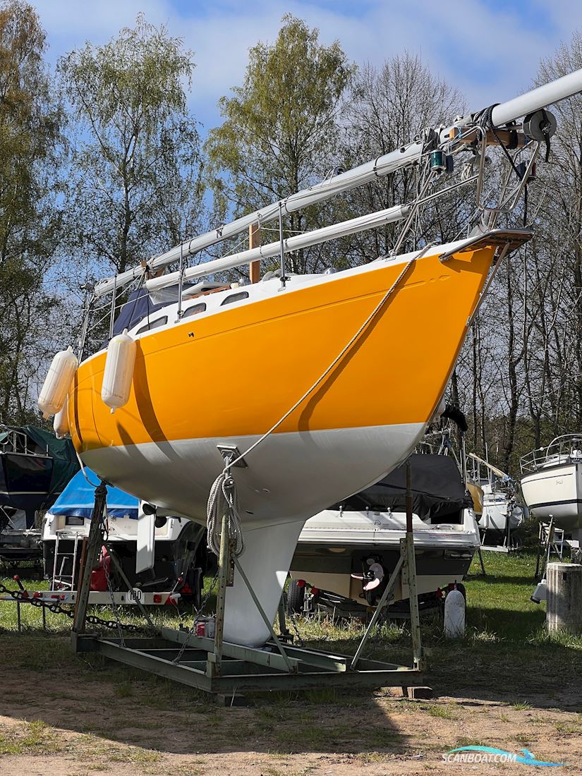 Artekno Ohlson 29