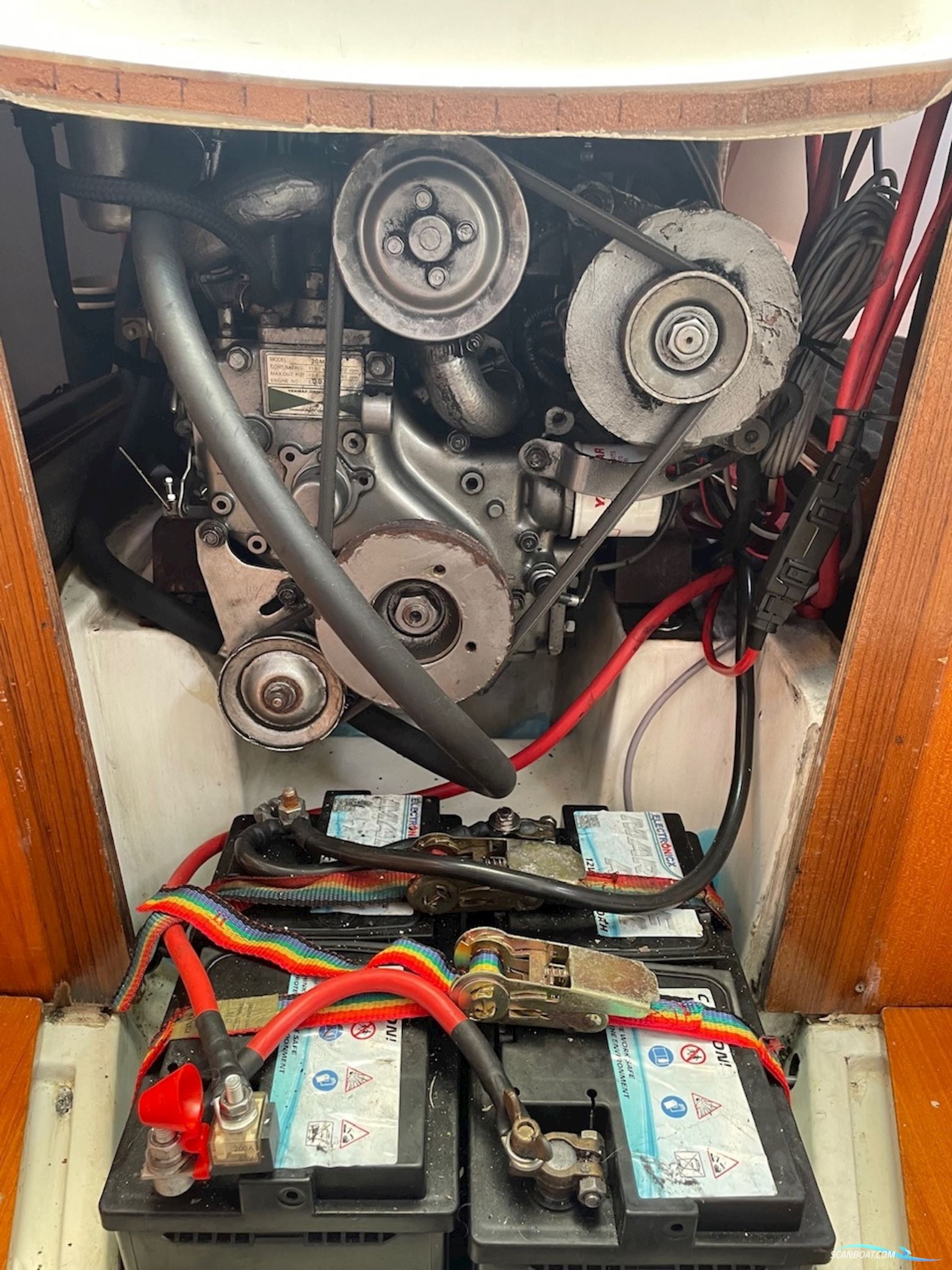 Astraea 295 Sprinter