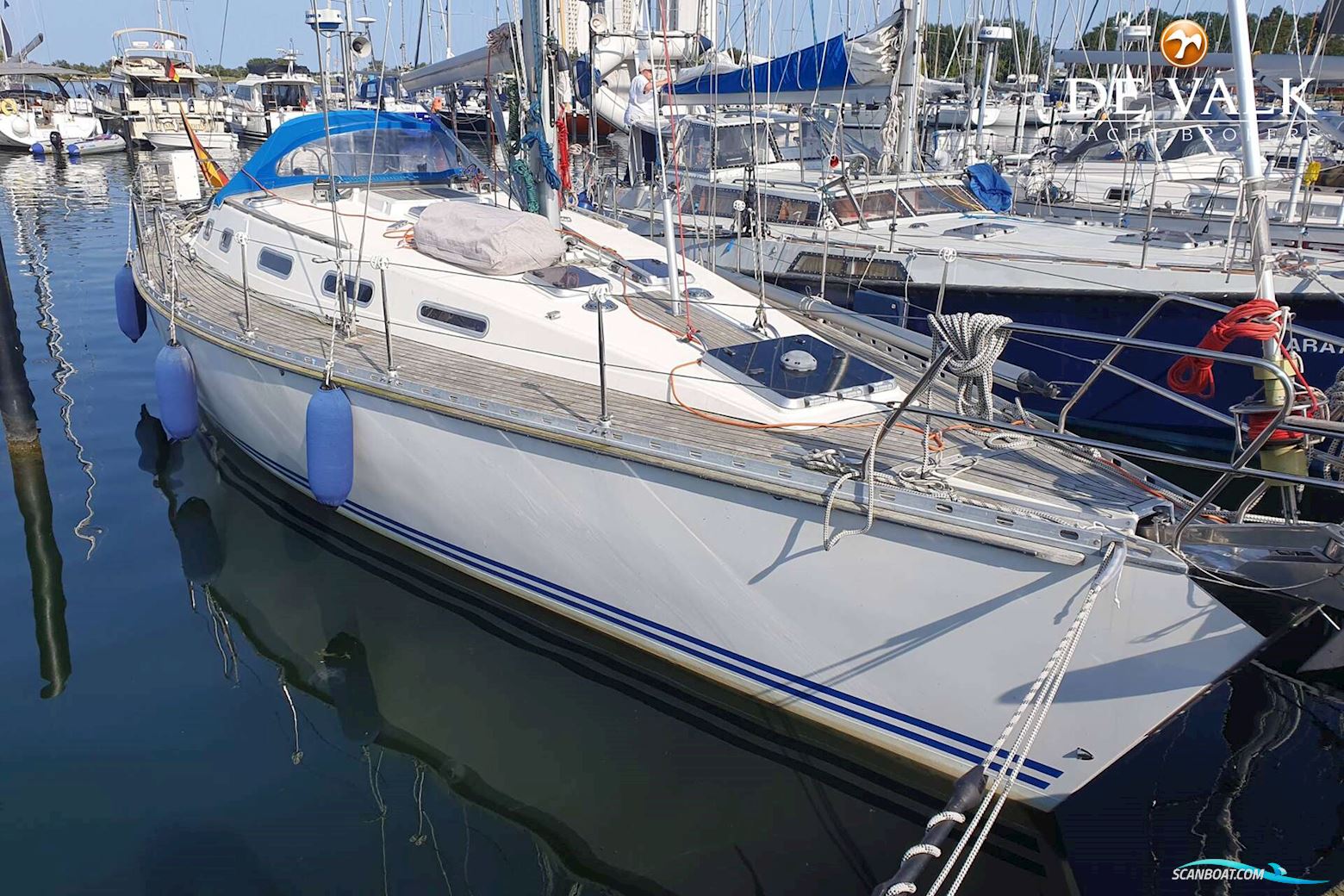 Athena 44