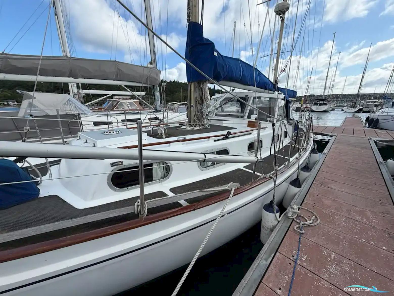 Atlantic 40