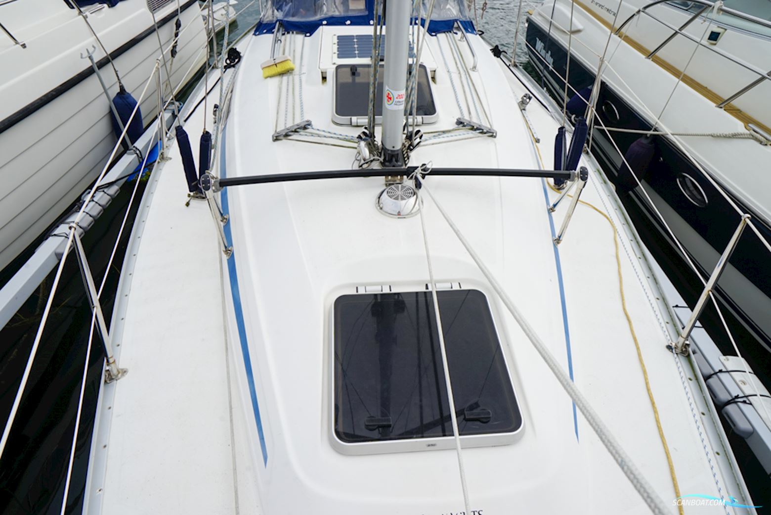 Bavaria 31