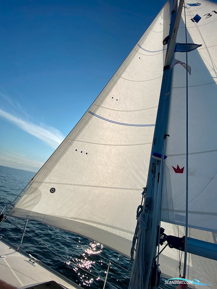 Bavaria 31