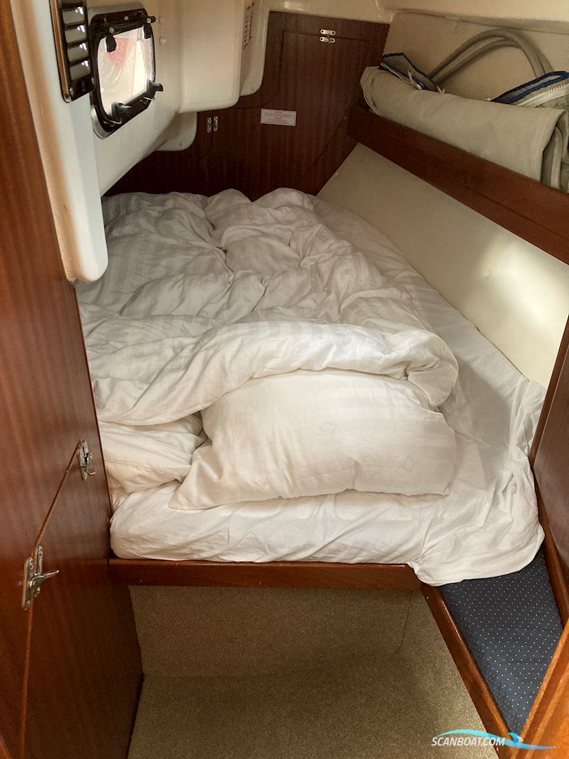 Bavaria 31