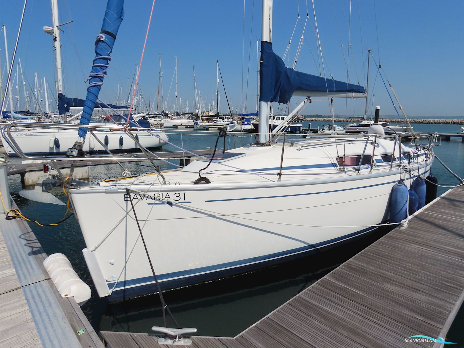 Bavaria 31